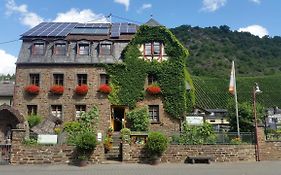 Weingut -1869- Brunnenhof